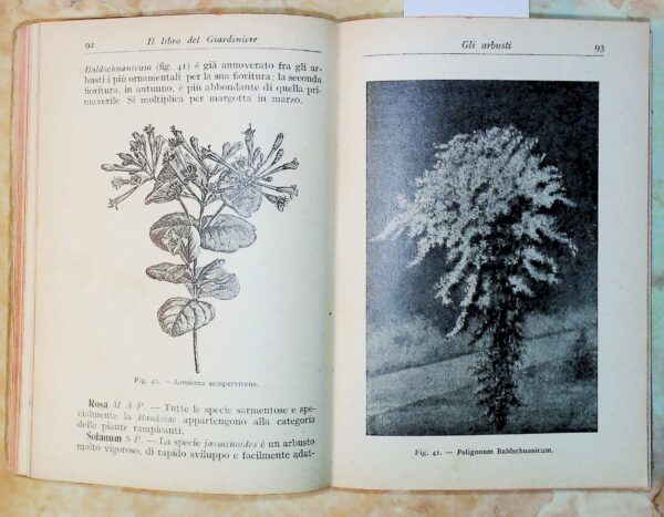 Il Libro Del Giardiniere - Aneglo Pucci - Ed. Hoepli Milano 1927 - immagine 3